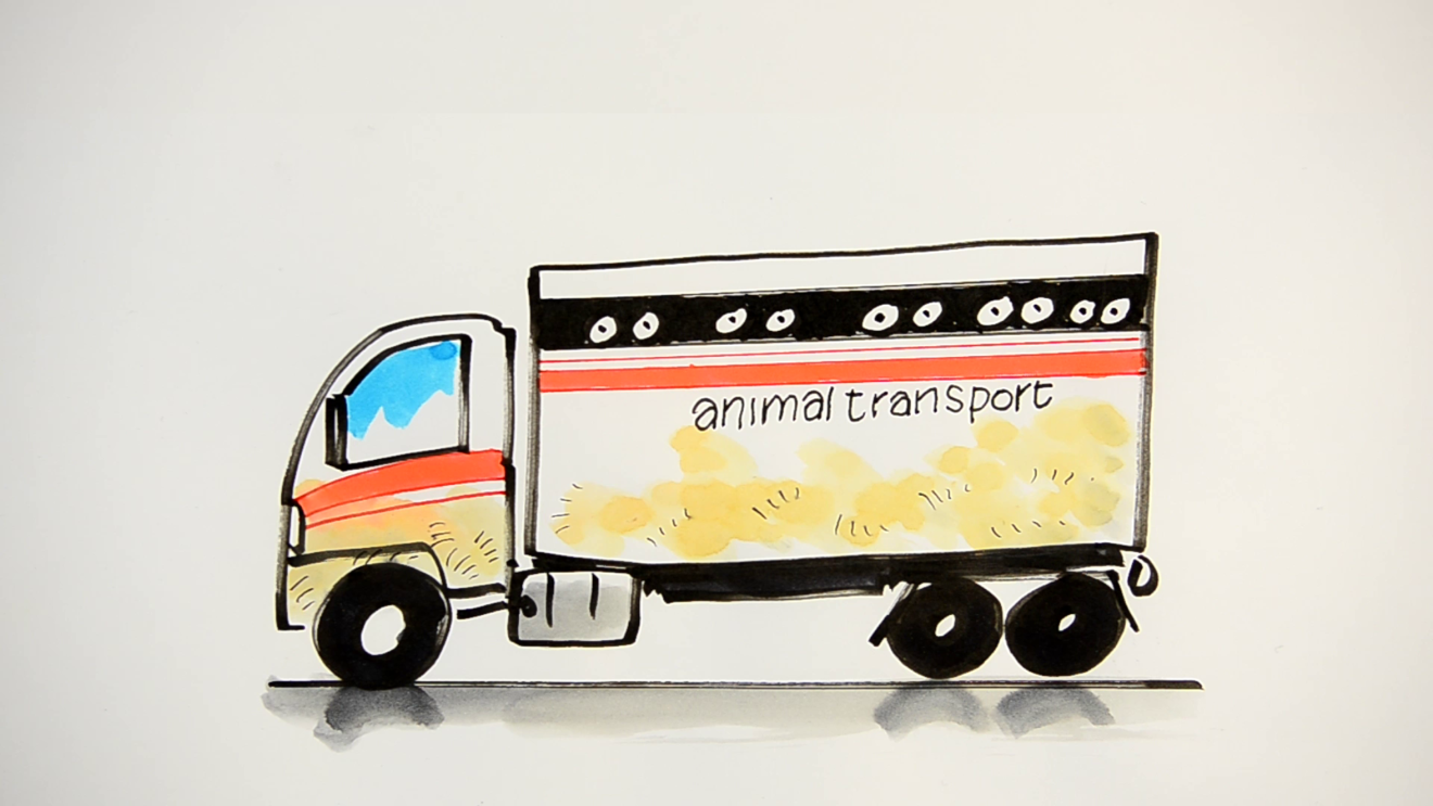 animal-transport-truck