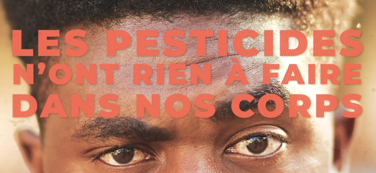Exposition aux pesticides : nos cheveux témoins de notre exposition globale