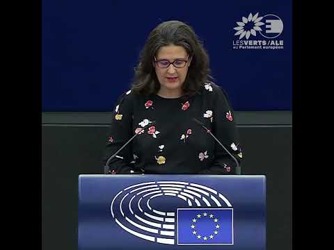 Gwendoline Delbos-Corfield sur le droit d'initiative du Parlement européen