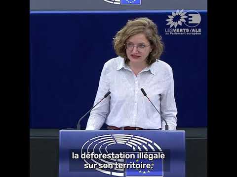 Marie Toussaint sur la nouvelle stratégie de l'Union européenne pour les forêts pour 2030