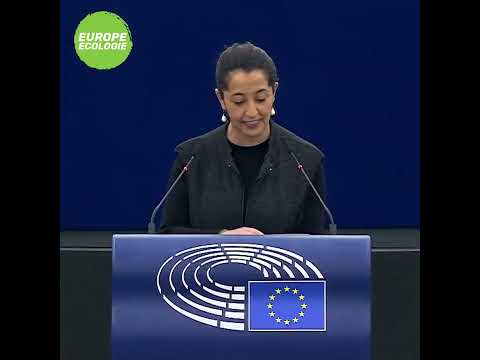 Karima Delli sur l'adhésion de l'Union européenne à la Convention d'Istanbul