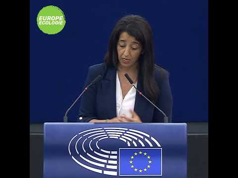 Karima Delli dans le débat sur la GPA dans l'Union européenne