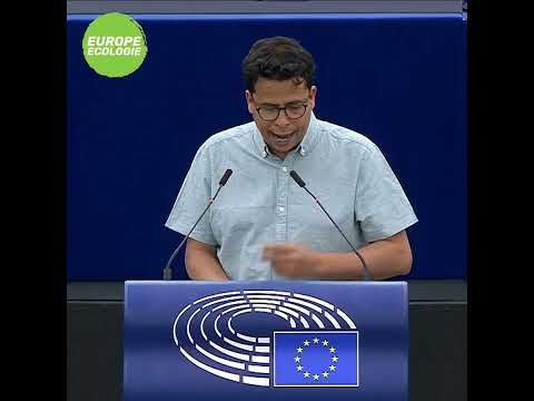 Mounir Satouri dans le débat ＂Mettre l'économie européenne au service des classes moyennes＂